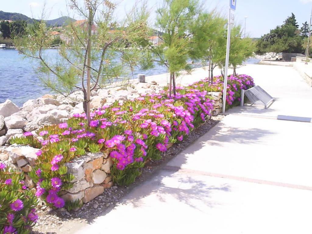 Beach Apartment M & B Poljana  Esterno foto